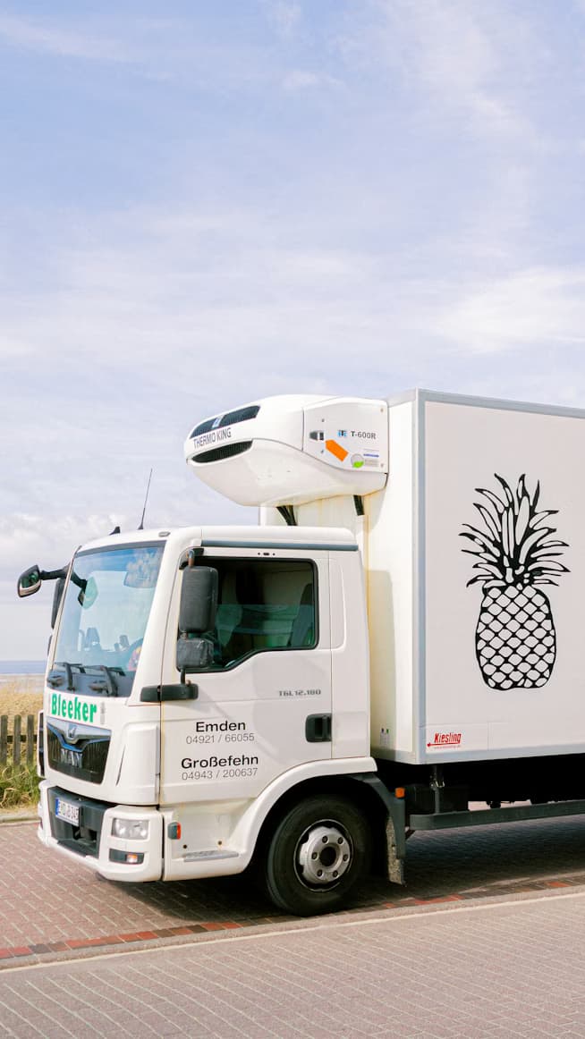 Cold Chain fleet industry background